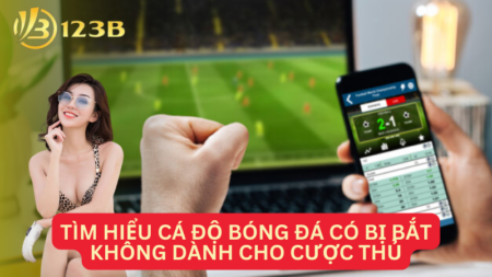 Tìm Hiểu Cá Độ Bóng Đá Có Bị Bắt Không Dành Cho Cược Thủ