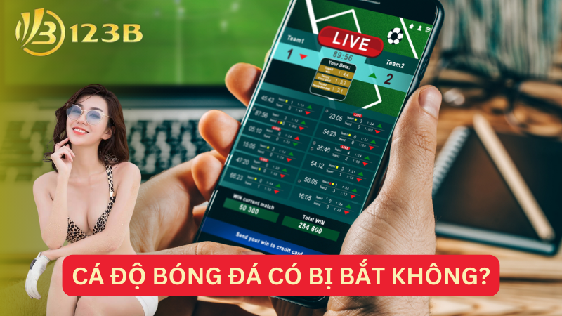 Cá độ bóng đá có bị bắt không?