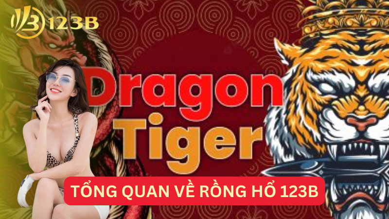 Tổng quan về rồng hổ 123B