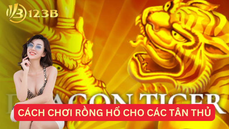 Cách chơi rồng hổ cho các tân thủ