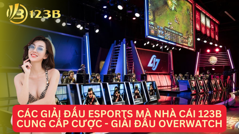 Các giải đấu Esports mà nhà cái 123B cung cấp cược - Giải đấu Overwatch