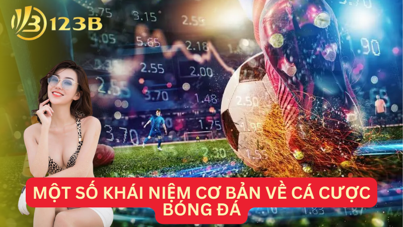 Một số khái niệm cơ bản về cá cược bóng đá