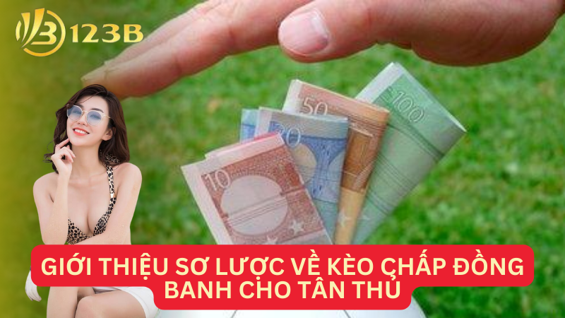 Giới thiệu sơ lược về kèo chấp đồng banh cho tân thủ