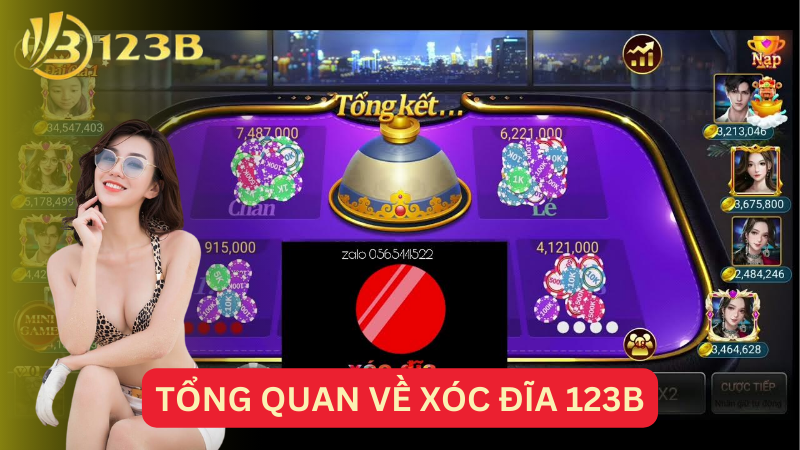 Tổng quan về xóc đĩa 123B